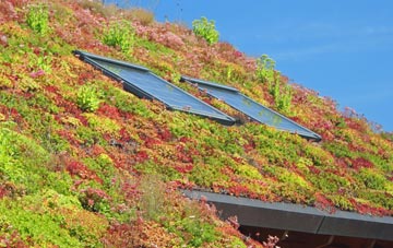 Bencombe living roof systems